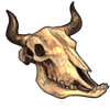 Cow Skull