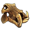 Hippo Skull