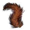 Red Squirrel Tail