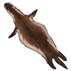 Weasel Pelt