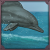 Atlantic Humpback Dolphins