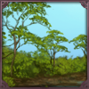 [D] Riverine Forest