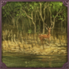 [GE - India - Ganges Delta] Sundarbans