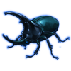 Beetle: Augosoma centaurus [Blue]