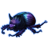 Beetle: Bolbaffer princeps [Iridescent]