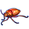 Beetle: Calidea dregii [Fire]