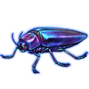 Beetle: Jewel Beetle [Opalescent]