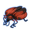 Beetle: Lycus trabeatus [Red]