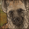 Cute Spotted Hyena Cub