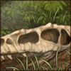 Buried Allosaurus S...