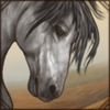 [GE - Andalusia] Andalusian Horse