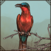 Carmine Bee-Eater