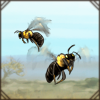 Carpenter Bee [3]