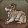 Bushbaby Companion