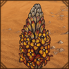 Desert Hyacinth