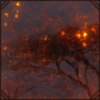 Embers