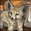 Fennec Fox