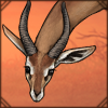 Gerenuk