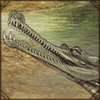 [GE - India - Ganges Delta] Gharial