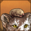 Golden Mole