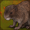 Greater Cane Rat