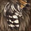 Hoopoe Feather Decor