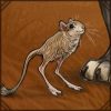 Lesser Egyptian Jerboa