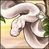 Leucistic Ball Python