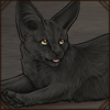 Melanistic Serval Cub