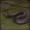 Mole Snake