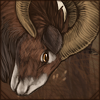 [GE - Andalusia] Mouflon