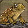 Eastern Olive Toad