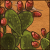 Prickly Pear