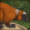 Red Ruffed Lemur