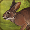 Riverine Rabbit