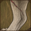 Scar: Hind Leg Right