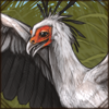 Hunting Secretary Bird