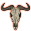 Wildebeest Skull