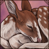 Sleeping Fawn