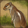 Striped Bush Squirrel Decor