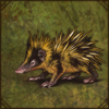 Tenrec