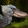 Wandering Shoebill