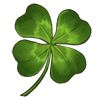 Four Leaf Clover